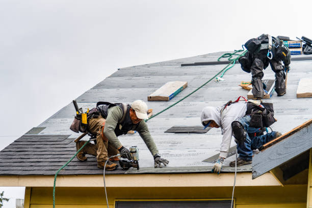 Professional Gutter Installation technician working in Arrington, TN